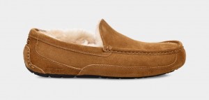 Ugg Ascot Muške Mokasinke Smeđe | ASL891435