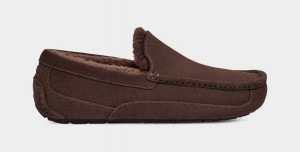 Ugg Ascot Muške Mokasinke Smeđe | TPE938617