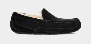 Ugg Ascot Muške Papuče Crne | DMV203419