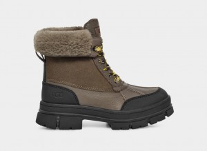 Ugg Ashton Addie Ženske Cizme Sive | XKQ261498