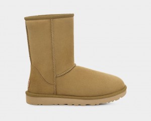 Ugg Classic II Ženske Cizme Smeđe | ZPT967482