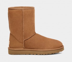 Ugg Classic Muške Cizme Smeđe | KRQ790218