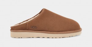 Ugg Classic Muške Papuče Smeđe | HQT120857