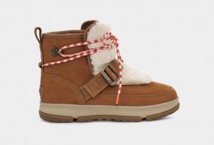 Ugg Classic Weather Hiker Ženske Cizme Smeđe | NWA371529