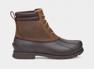 Ugg Gatson Mid Muške Cizme Smeđe | ZTH308712