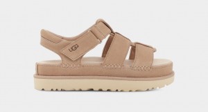 Ugg Goldenstar Strap Ženske Sandale Smeđe | MJE758903