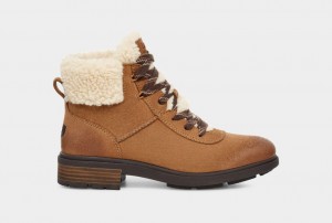 Ugg Harrison Cozy Lace Ženske Cizme Smeđe | XBY741395