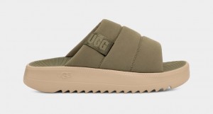 Ugg Maxxer Muške Natikače Zelene | YOW085673