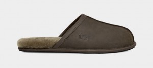 Ugg Scuff Koža Muške Papuče Maslinasto Zelene | ZMW589613