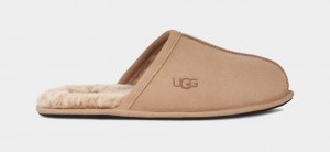 Ugg Scuff Muške Papuče Smeđe | NTE239074