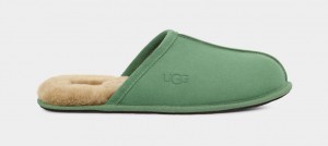 Ugg Scuff Muške Papuče Zelene | SVZ943180