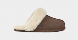 Ugg Scuffette II Ženske Papuče Smeđe | WEL173502