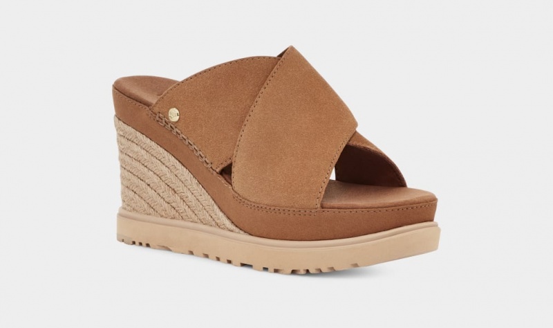 Ugg Abbot Ženske Natikače Smeđe | YZG450296