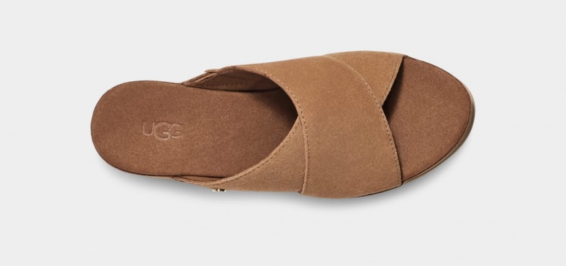 Ugg Abbot Ženske Natikače Smeđe | YZG450296