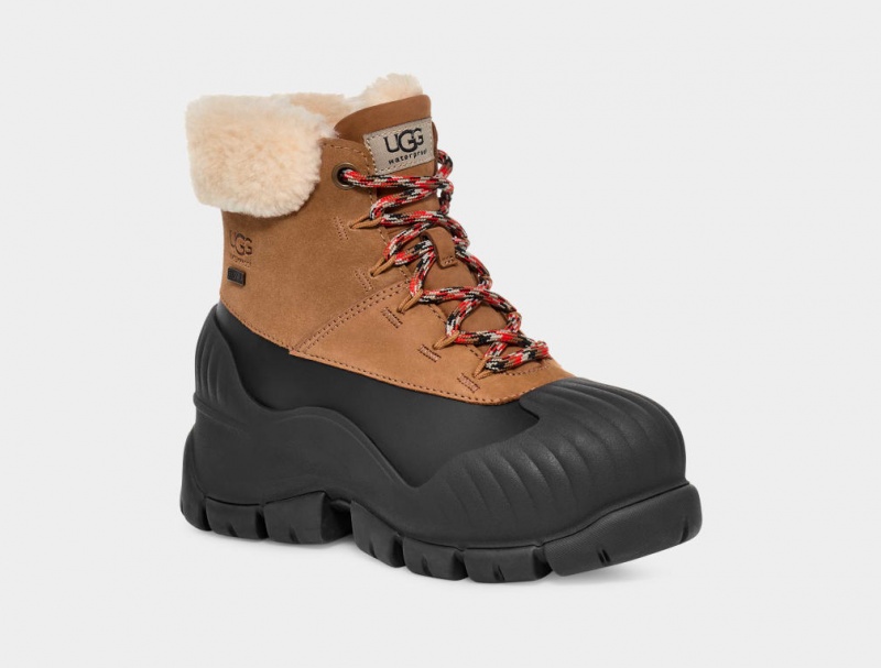 Ugg Adiroam Hiker Ženske Cizme Smeđe | ICH931854