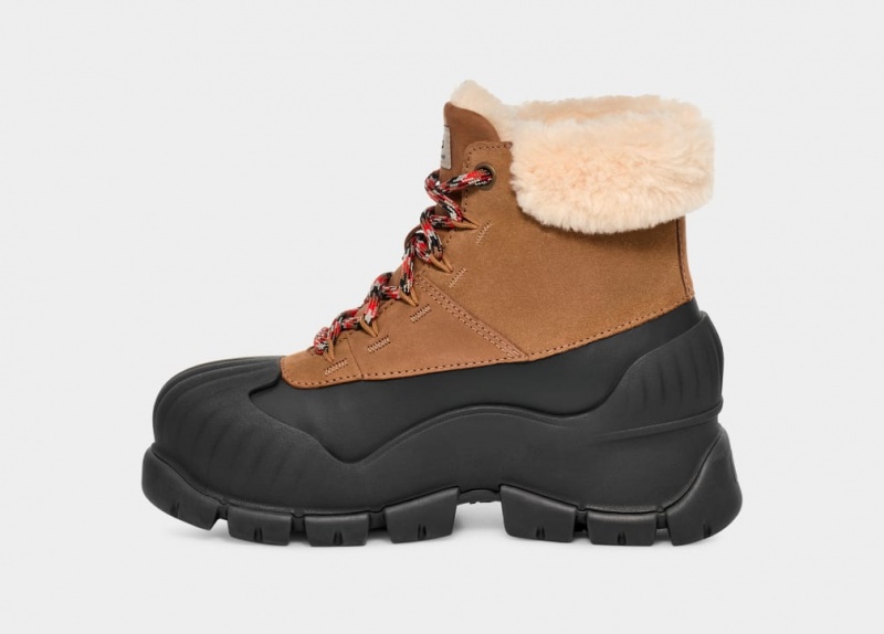 Ugg Adiroam Hiker Ženske Cizme Smeđe | ICH931854