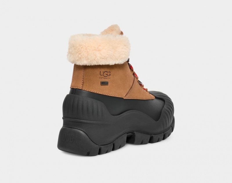 Ugg Adiroam Hiker Ženske Cizme Smeđe | ICH931854