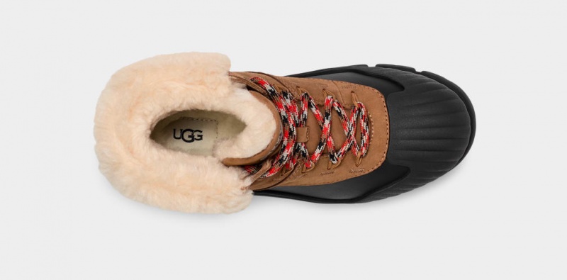 Ugg Adiroam Hiker Ženske Cizme Smeđe | ICH931854