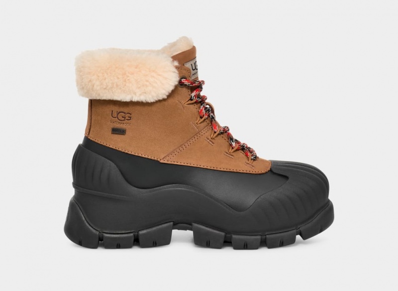 Ugg Adiroam Hiker Ženske Cizme Smeđe | ICH931854