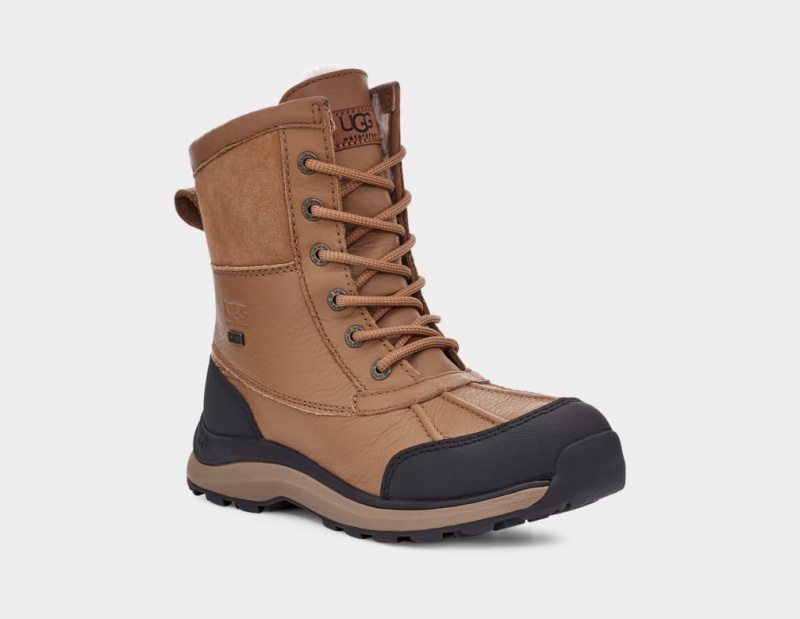 Ugg Adirondack III Hiker Ženske Cizme Smeđe | LYI046138