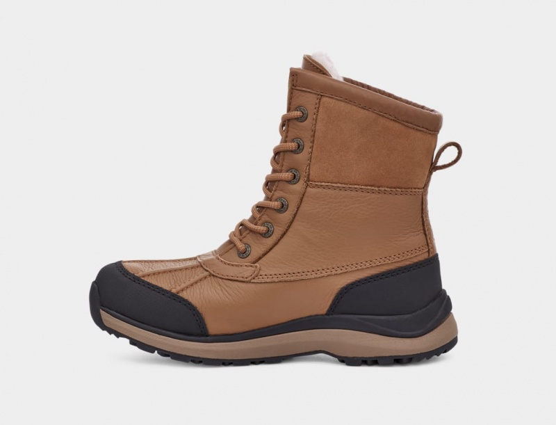 Ugg Adirondack III Hiker Ženske Cizme Smeđe | LYI046138