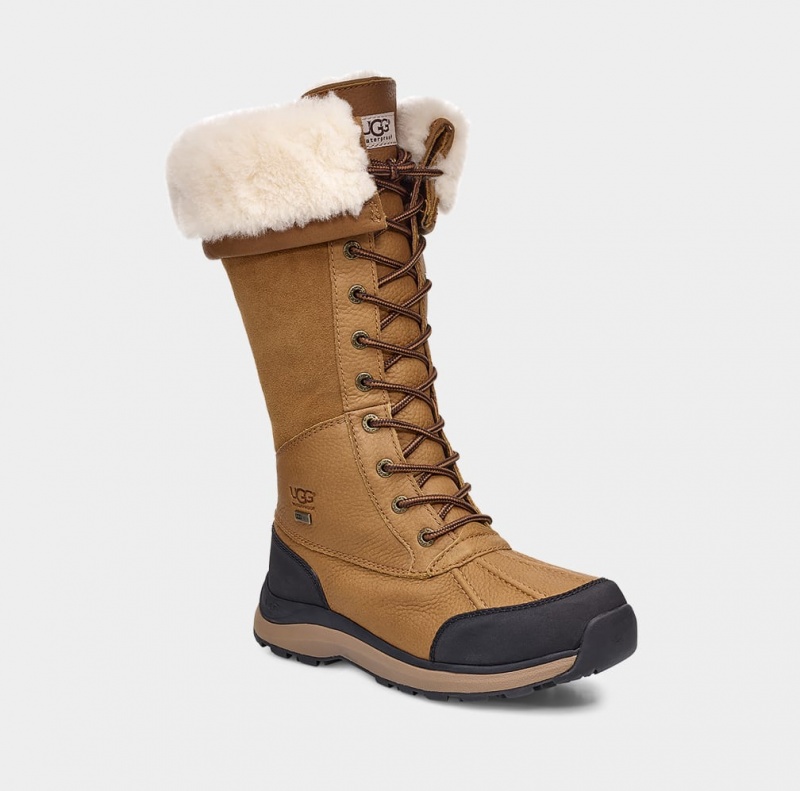 Ugg Adirondack III Tall Ženske Cizme Smeđe | XAL028647