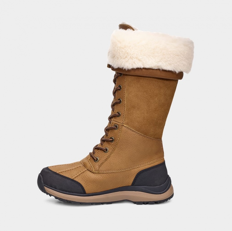 Ugg Adirondack III Tall Ženske Cizme Smeđe | XAL028647