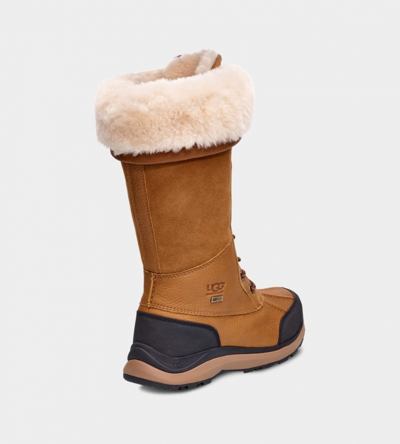 Ugg Adirondack III Tall Ženske Cizme Smeđe | XAL028647