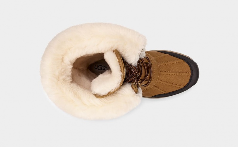 Ugg Adirondack III Tall Ženske Cizme Smeđe | XAL028647