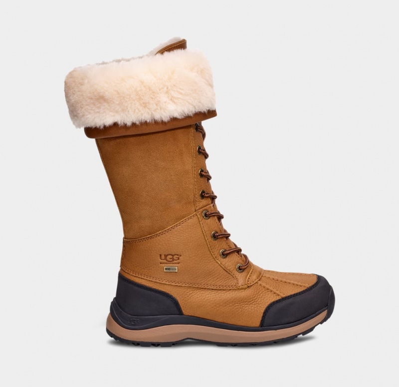 Ugg Adirondack III Tall Ženske Cizme Smeđe | XAL028647