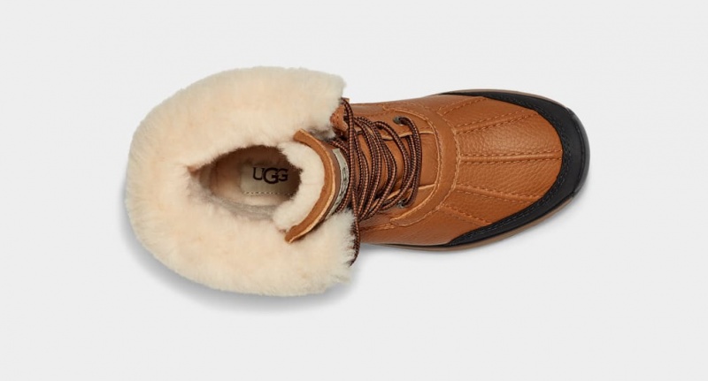 Ugg Adirondack III Ženske Cizme Smeđe | OQV502143