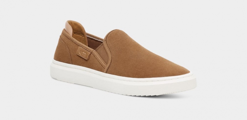 Ugg Alameda Suede Ženske Slip On Smeđe | PJO437612