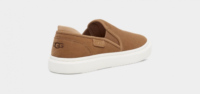 Ugg Alameda Suede Ženske Slip On Smeđe | PJO437612