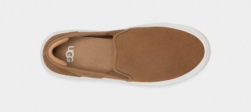 Ugg Alameda Suede Ženske Slip On Smeđe | PJO437612