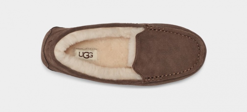 Ugg Ansley Ženske Mokasinke Čokoladne | IXM314689