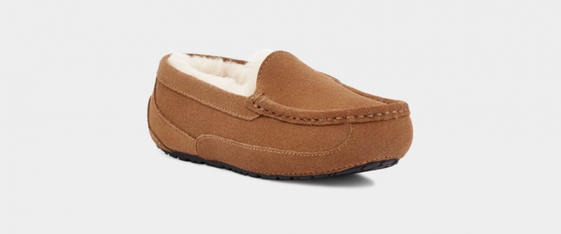 Ugg Ascot Dječje Papuče Smeđe | UMT746592