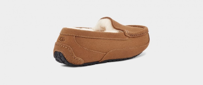 Ugg Ascot Dječje Papuče Smeđe | UMT746592