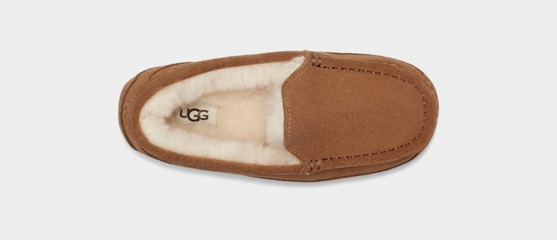 Ugg Ascot Dječje Papuče Smeđe | UMT746592