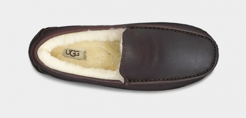 Ugg Ascot Koža Muške Mokasinke Tamno Smeđe | EUJ780935