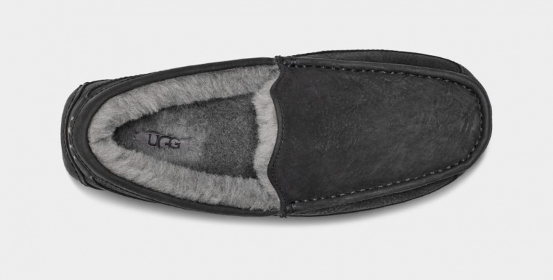 Ugg Ascot Matte Koža Muške Mokasinke Crne | YSP350961