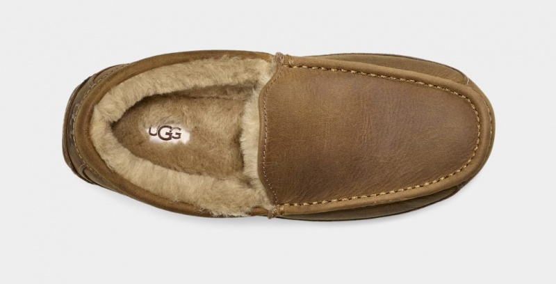 Ugg Ascot Matte Koža Muške Mokasinke Smeđe | PMX947632