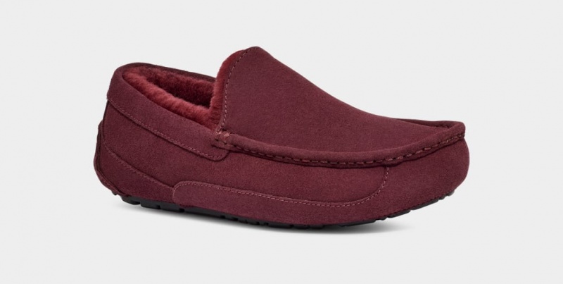 Ugg Ascot Muške Mokasinke Ljubičaste | EOQ610947