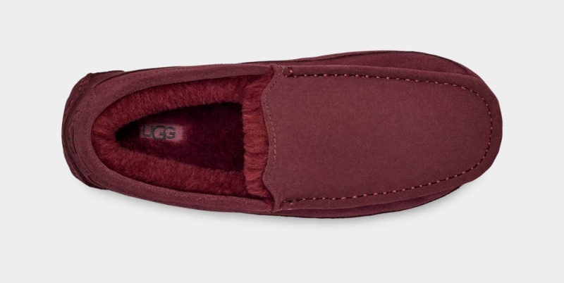 Ugg Ascot Muške Mokasinke Ljubičaste | EOQ610947