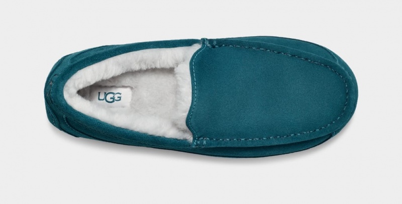 Ugg Ascot Muške Mokasinke Plave | UEI529871