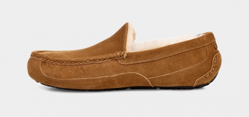 Ugg Ascot Muške Mokasinke Smeđe | ASL891435