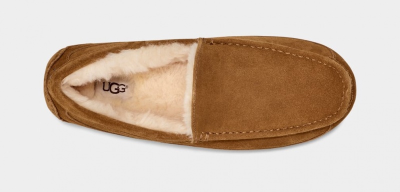 Ugg Ascot Muške Mokasinke Smeđe | ASL891435