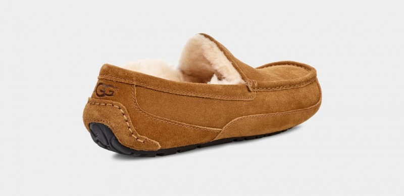 Ugg Ascot Muške Mokasinke Smeđe | ASL891435