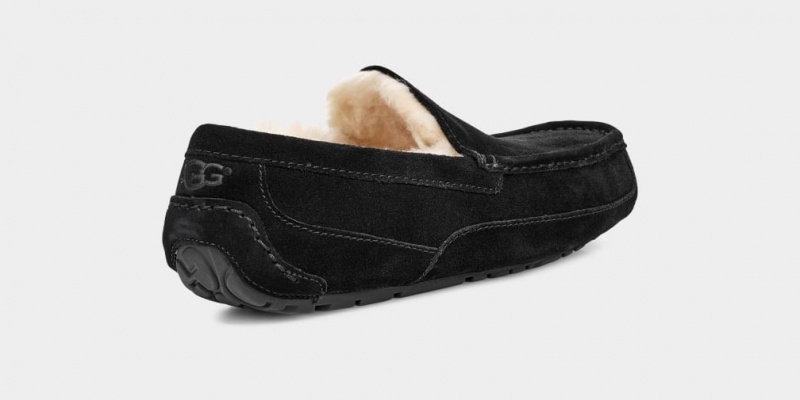 Ugg Ascot Muške Papuče Crne | DMV203419