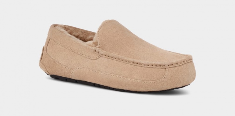 Ugg Ascot Muške Papuče Smeđe | UVP709641