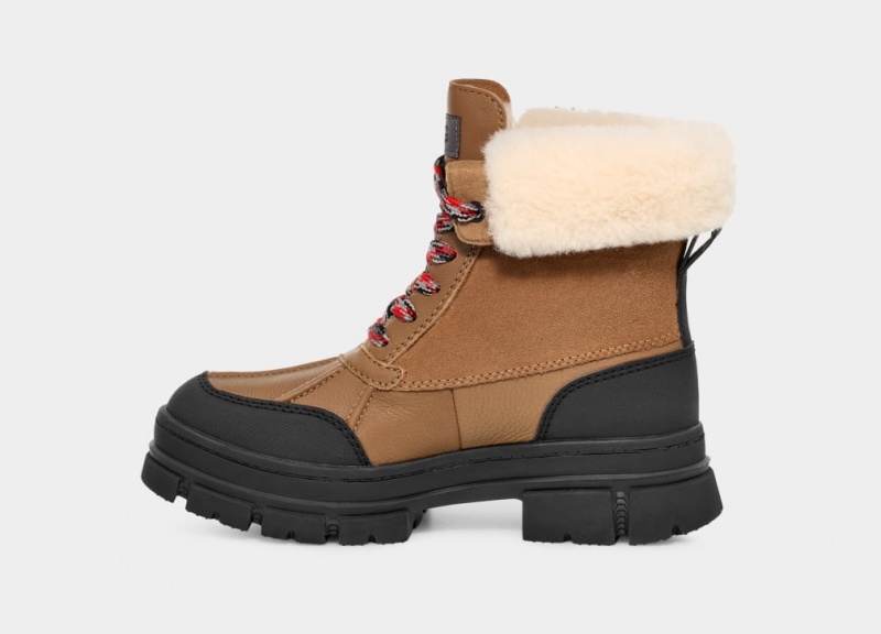 Ugg Ashton Addie Ženske Cizme Smeđe | DRM502896